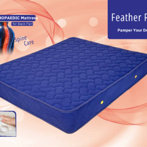 Feather Plush