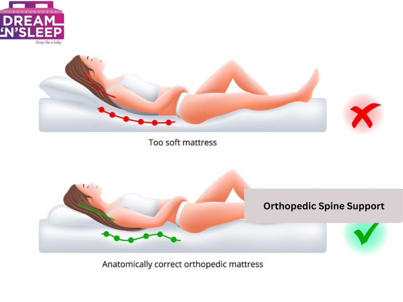 best mattress of back pain 2025